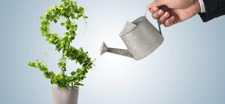 Капитальные инвестиции в АПК Украины в 2016 году выросли почти на 50% – Минагропрод