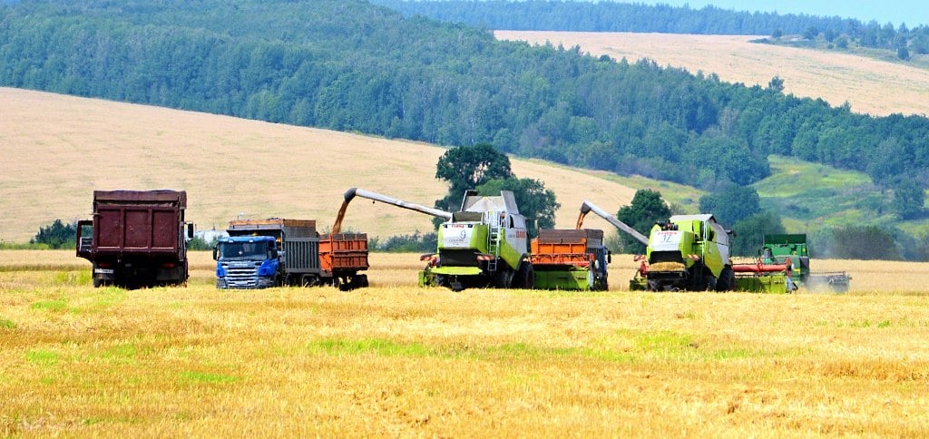 уборка ранних зерновых