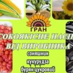 Насіння соняшника під Гранстар, Євро-Лайтнінг, Класичні гібриди, від виробника