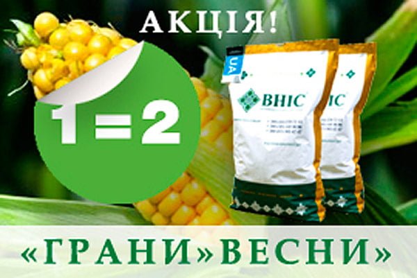 АКЦІЯ «ГРАНИ» ВЕСНИ»