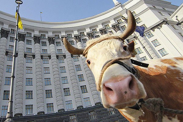 Закупку молока и мяса