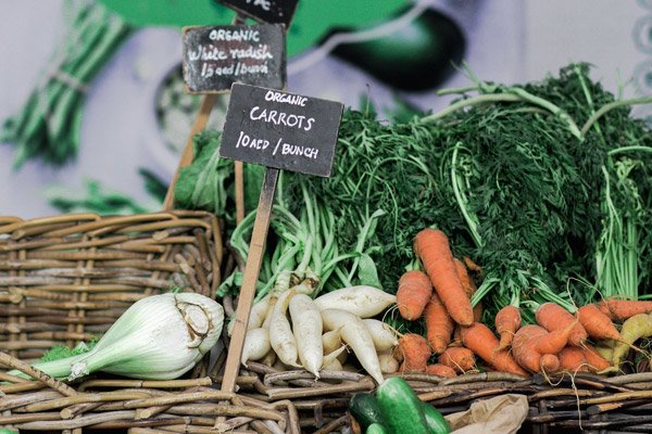 Псевдоорганические продукты