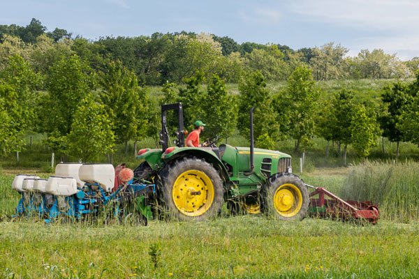 NO-TILL