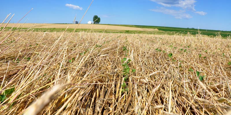 Органический NO-TILL