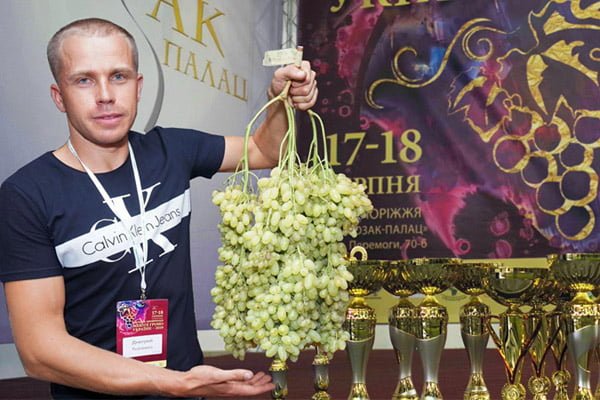 виноград