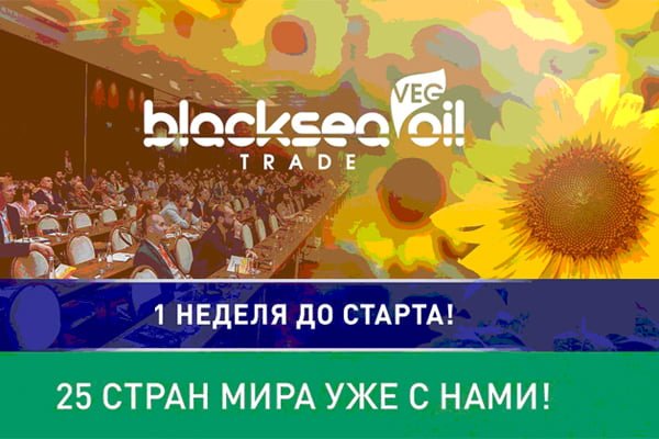 Black Sea Oil Trade-2019