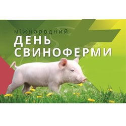 Міжнародний День Свиноферми