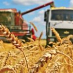 Перевозка зерна и зерновых грузов по Украине