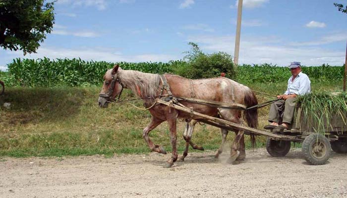 заробітчани