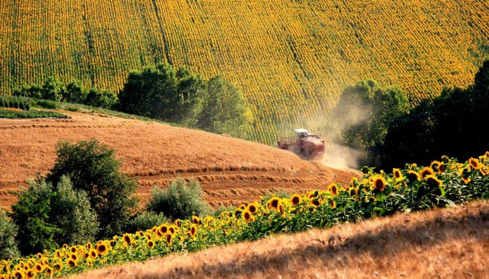 агрореєстр