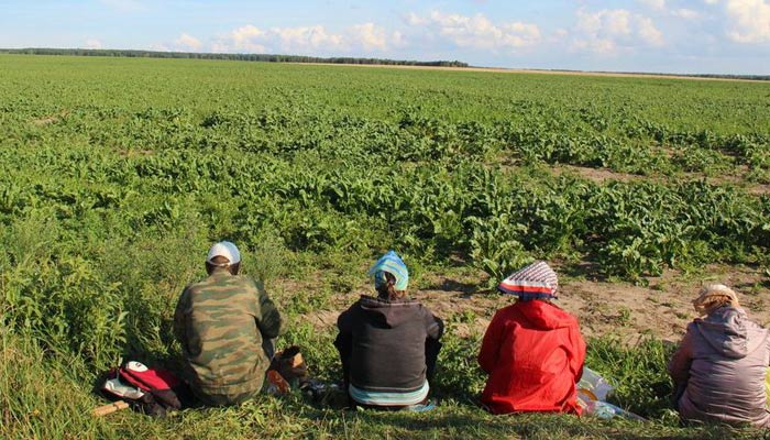 сільгоспвиробників