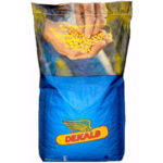 Семена кукурузы ДКС 4590 Max Yield