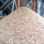 Куплю зерноотходы масличных, бобовых, зерновых культур