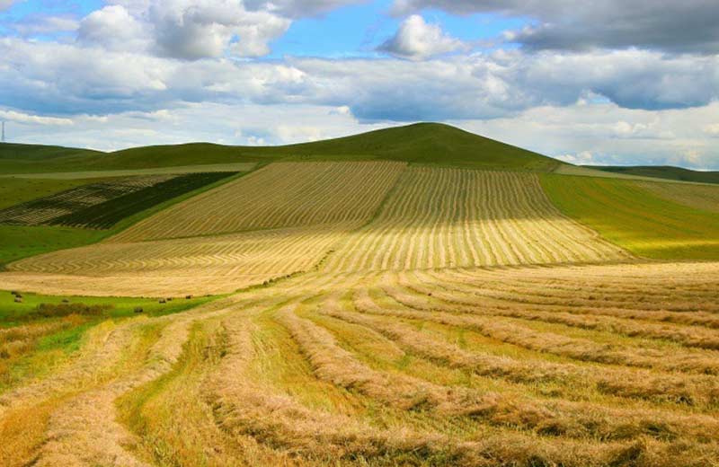земель
