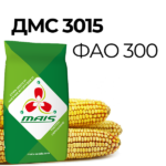 ДМС 3015 (ФАО 300) Середньостиглий гібрид кукурудзи