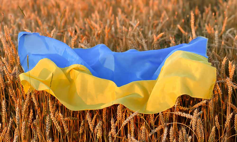 посівної