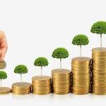 Loan & credit available