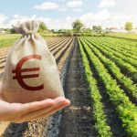 Годовой финансовый кредит 4%