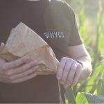 Лінійка гібридів кукурудзи під торговою маркою HYCS