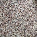 Постійно закуповуємо зерновідходи та некондицію!