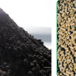 Пеллета з лушпиння чиста. Пелета з дерева