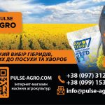 посівний матеріал гібридів соняшнику