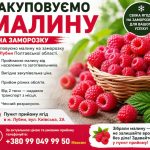 Купуємо малину на заморозку